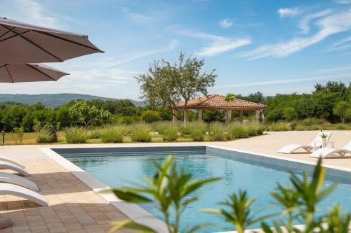 Πισίνα στο ή κοντά στο Villa Roti