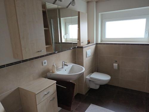 a bathroom with a sink and a toilet and a mirror at Ferienwohnung Doris in Sinsheim