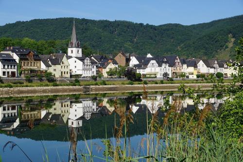 a town with a reflection in a body of water at Pension Mosellablick in Briedern