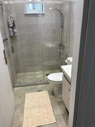 a bathroom with a shower and a toilet and a sink at Katie's House in Sparta