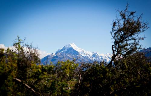a snow covered mountain in the distance behind trees at Glentanner Park Centre in Glentanner