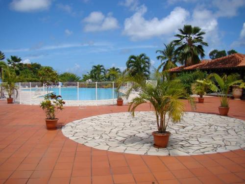 un patio con piante in vaso e una piscina di Sea view studio, beaches, pool bar, car option a Sainte-Anne