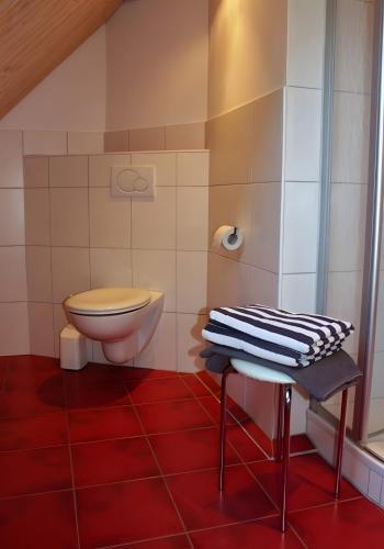 a bathroom with a toilet and a red floor at Sigmundenhof Schonach in Schonach