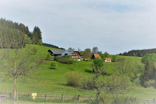 a house on a hill in a green field at Sigmundenhof Schonach in Schonach