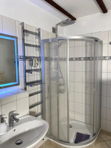 a bathroom with a shower and a sink at Landhaus 2 Stettinerhaff in Dargen