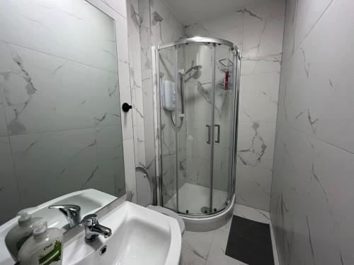 ダブリンにあるLury's Studio Apartmentのシャワーと洗面台を備えた白いバスルーム