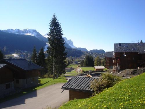 レ・キャローズ・ダラッシュにあるgîte 6 pers RC domaine skiable Grand Massif les Carroz Flaine Morillon Samoensの山を背景にした村の景色