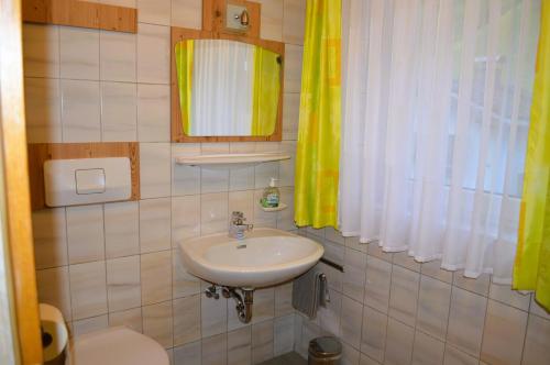 a bathroom with a sink and a toilet at Ferienwohnung Rohrmoser mit 1 Schlafzimmer in Hüttschlag