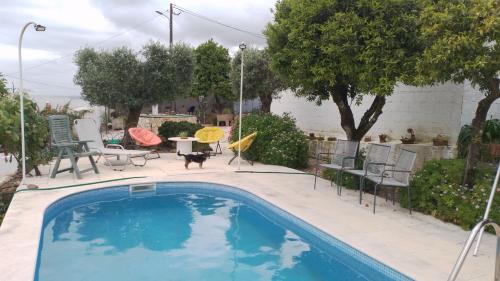 a dog is standing next to a swimming pool at Quinta Castilho in Fortes de Cima