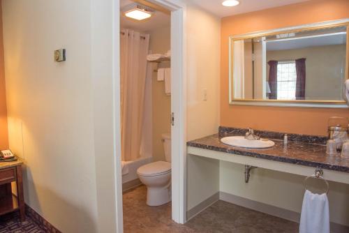 
a bathroom with a toilet, sink, and shower at Colonnade Inn in Lyndonville
