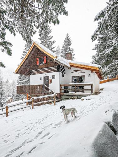 Sechszirbenhütte am Falkert 1700 m