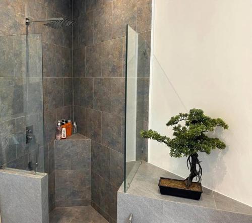 Ban Saiyuan (1)にあるVilla Guenlaur 3 studios with kitchenette and poolのシャワー付きの浴室にある盆栽