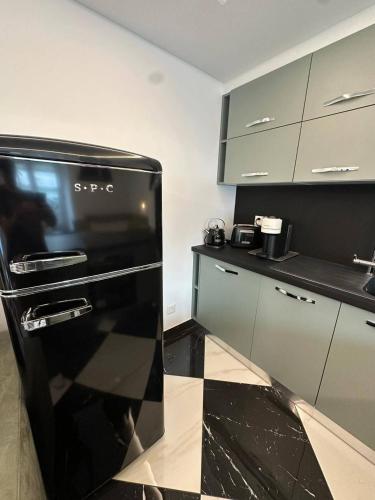ロゾネにあるUnique Losone Apartmentのキッチン(黒い冷蔵庫付)
