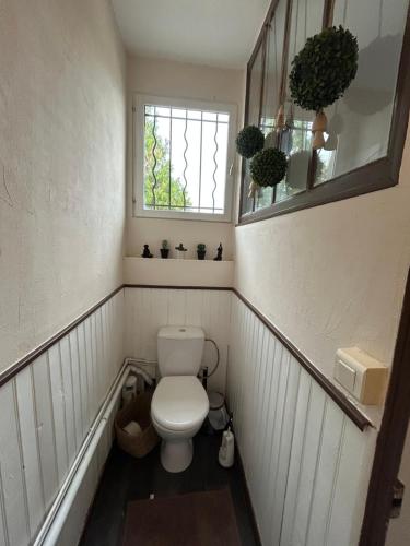 a small bathroom with a toilet and a window at Logement Salbris sologne in Salbris