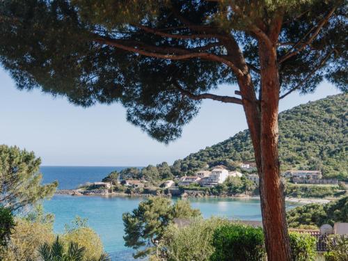 a view of the ocean from a tree at Apartment Le Télémaque 2 pièces Mezzanine by Interhome in Conca
