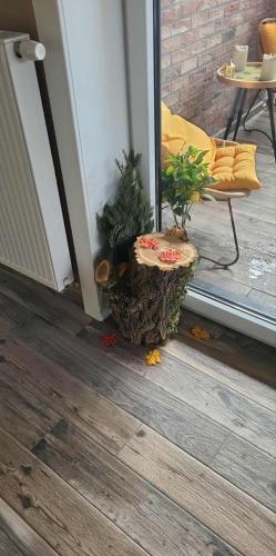 Una planta en maceta colocada afuera de una puerta en Le cocon de sofalia, en Courcelles