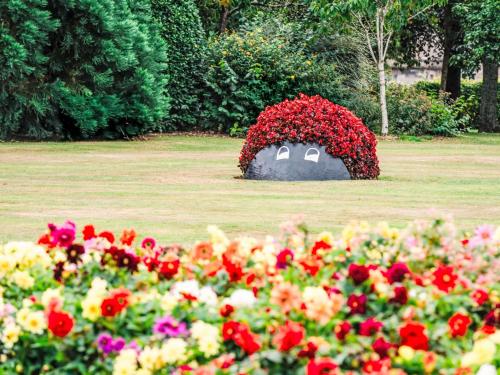 a bush shaped like an elephant is in a field of flowers at Apartment Forres View by Interhome in Forres