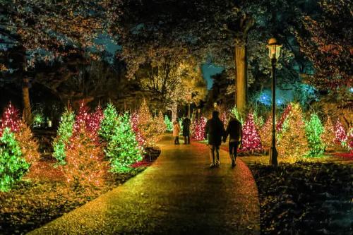 two people walking down a path with christmas lights at The Chocolate Suite - Walkable and Peaceful home in Tower Grove
