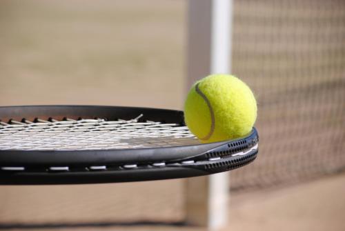 a tennis ball sitting on top of a racket at Garner Hotel Elmshorn by IHG in Elmshorn