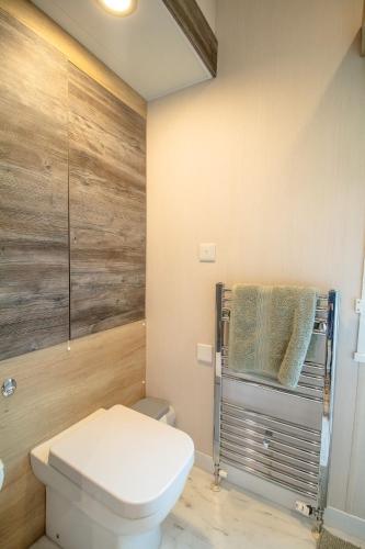 a bathroom with a toilet and a wooden wall at Hillside Lodge in Nantmel