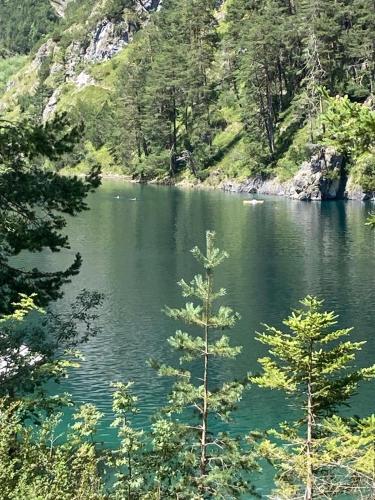 a view of a lake with trees in the foreground at Appartements Bergliebe in Bichlbach
