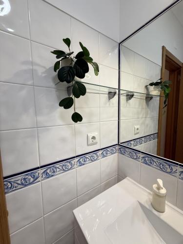Cascais Dream Apartment photo 3