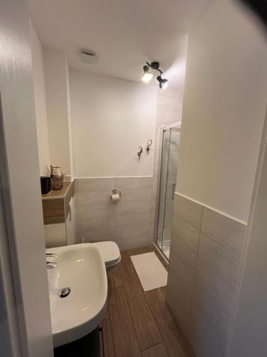 a white bathroom with a toilet and a shower at Appartements Bergliebe in Bichlbach