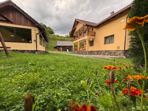 a house with a field of flowers in the yard at Casa Abrudan in Scrind-Frăsinet