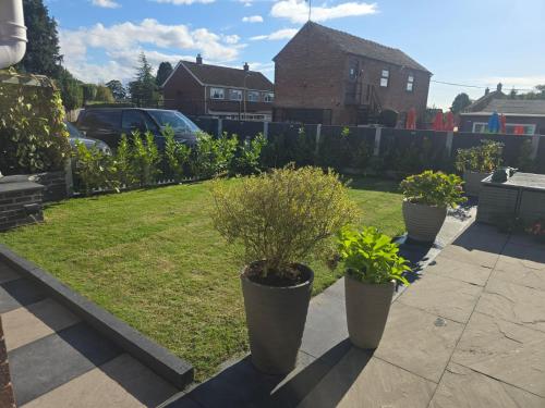 three potted plants sitting on a sidewalk in a yard at The Meadows in Market Drayton