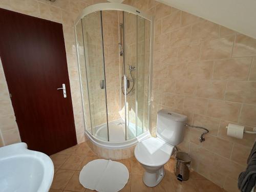 a bathroom with a shower and a toilet and a sink at Penzion V Podzámčí in Moravská Třebová