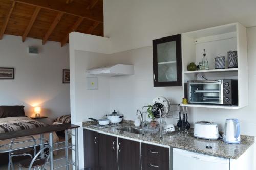 a kitchen with a sink and a microwave at El Chalten Aparts in El Chalten