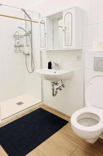 Central Apartment