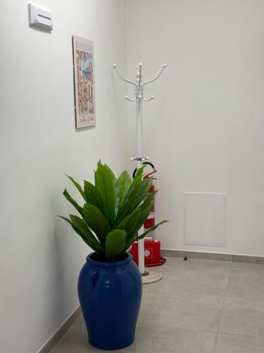 a blue vase with a plant in a room at Casa Del Grillo Parlante in Aragona