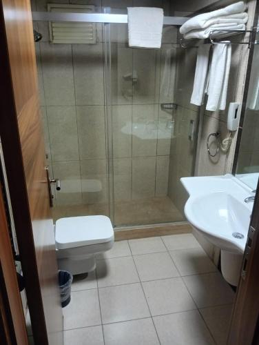 a bathroom with a shower and a toilet and a sink at TAC MAHAL HOTEL in Ankara