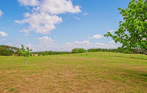 a green field with a tree in the middle of it at Ferienwohnung Zislow in Zislow