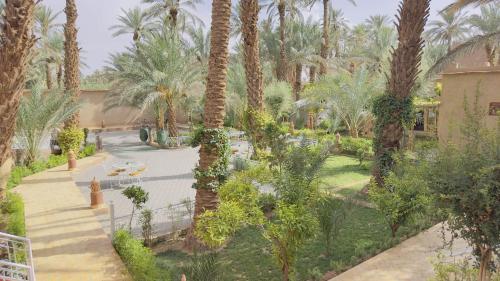 an overhead view of a garden with palm trees at Nana Diafa - Luxury Stay in Zagora in Zagora