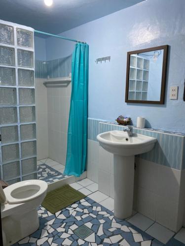 a bathroom with a toilet and a sink and a shower at Ravenala Beach Bungalows in Moalboal