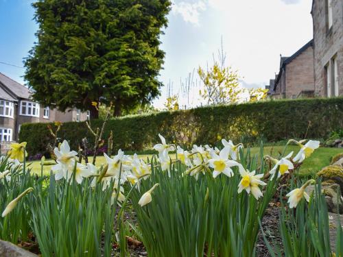 a bunch of white and yellow flowers in a garden at Tarn House in Wooler