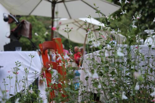 a table with red chairs and an umbrella and flowers at Agriturismo di là dall'Acqua in Fivizzano