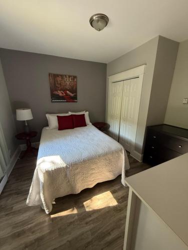 セントジョンズにあるWaterfordbridge Apartments - 1 Bedroom Lowerのベッドルーム1室(大型ベッド1台、赤い枕付)