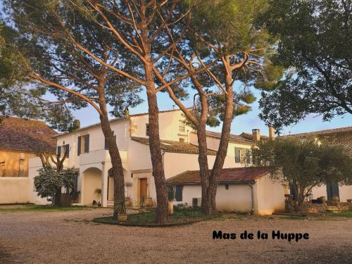 a large white house with trees in front of it at Mas de la Huppe - Franquevaux en Petite Camargue in Beauvoisin