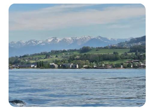 a view of a river with mountains in the background at Holzchalet mit Garten und Terrasse in Egnach
