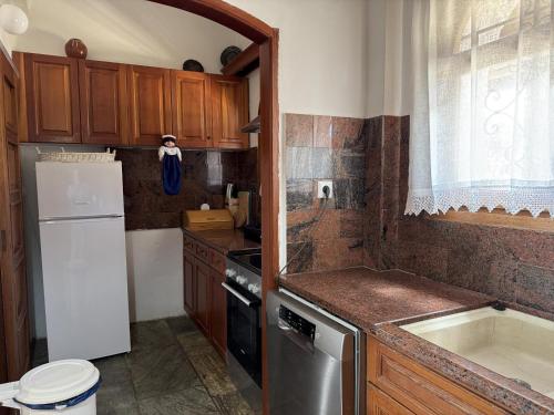a small kitchen with a refrigerator and a sink at Blue Fox 1 in Chrani