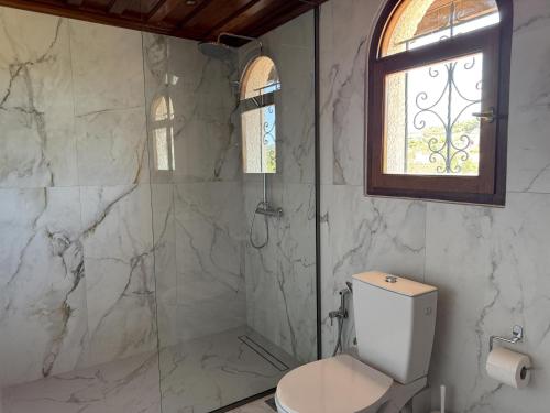 a white bathroom with a toilet and a window at Blue Fox 1 in Chrani