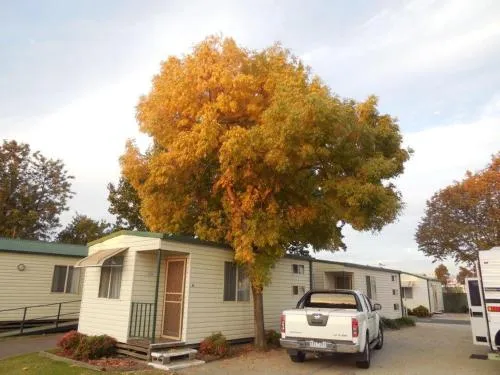 Wodonga Caravan & Cabin Park picture
