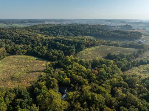 an aerial view of a wooded area with trees at Tranquility Cove in Sugarcreek