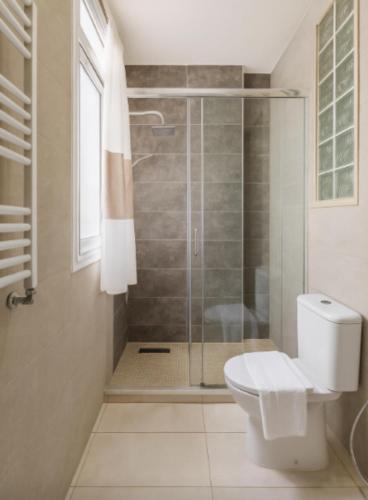 a bathroom with a toilet and a glass shower at Élégant appartement 3 pièces à Hydra in Hydra