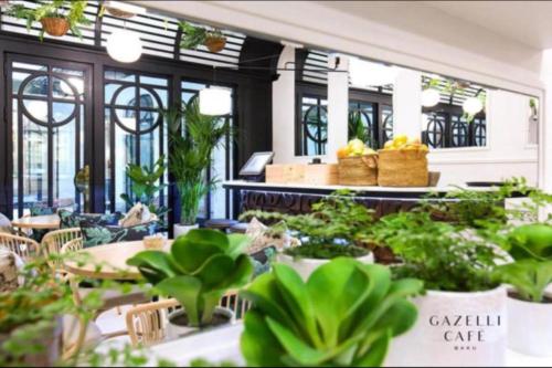 a cafe with potted plants and tables and windows at Luxary Home VIP Hillton in Baku