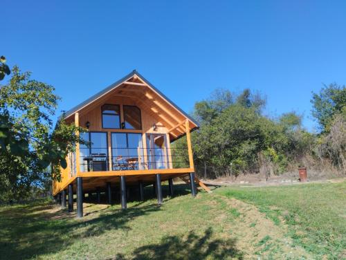 a tiny house on the side of a field at Cabana Valea Brazilor in Tutana
