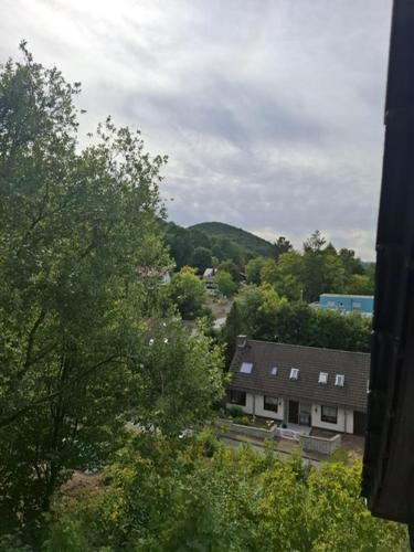 a view of a town with houses and trees at Ferienwohnung Balu in Bad Harzburg